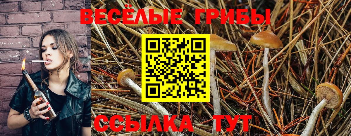 Галлюциногенные грибы Cubensis  Галлюциногенные грибы Psilocybe  Вход с VPN  Верхняя Салда 